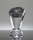 Picture of Crystal Spotlight Paperweight Trophy