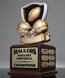 Picture of Football Perpetual Hall of Fame Trophy