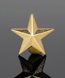 Picture of Gold Star Lapel Pin