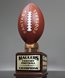 Picture of Fantasy Football Hall of Fame Trophy