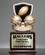 Picture of Football Perpetual Hall of Fame Trophy