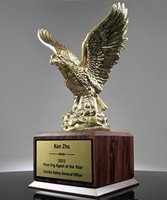 Picture of Eagle in Flight Award