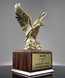 Picture of Eagle in Flight Award