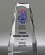 Picture of Full Color Beveled Jewel Award