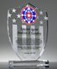 Picture of Acrylic Shield of Valor Trophy