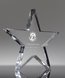 Picture of Flat Star Crystal Paperweight