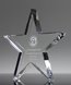 Picture of Flat Star Crystal Paperweight