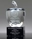 Picture of Classic Crystal Apple Award