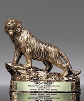 Picture of Iron Tiger Award