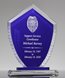 Picture of Glass Shield Trophy
