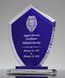 Picture of Glass Shield Trophy
