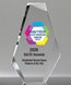Picture of Crystal Dynasty Full Color Award
