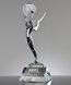 Picture of Sterling Pinnacle Globe Award