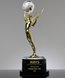 Picture of Tyche Global Winged Achievement Award