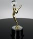 Picture of Tyche Global Winged Achievement Award
