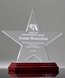 Picture of Acrylic Star on Rosewood Base Award