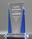 Picture of Clear Distinction Crystal Award