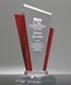 Picture of Distinction Ruby Crystal Award