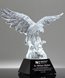 Picture of Traditional American Eagle Crystal Award
