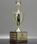 Picture of Perpetual Victory Trophy
