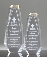 Picture of Gold Distinction Obelisk Award