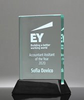 Picture of Sable Crystal Award