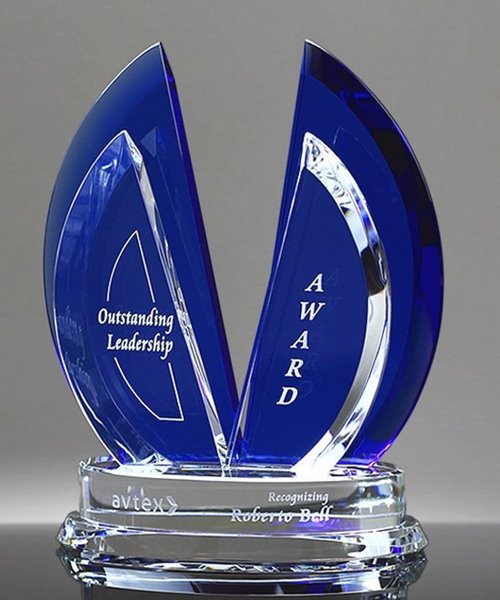 Picture of Flight Indigo Award