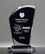 Picture of Excellence Glass Award