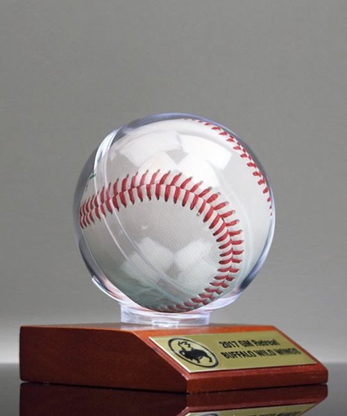 Picture of Baseball Display Case Trophy