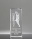 Picture of Collegiate Series Volleyball 3D Crystal Trophy