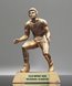 Picture of Golden Wrestling Award Sculpture