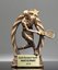 Picture of Star Flame Tennis Trophy - Male