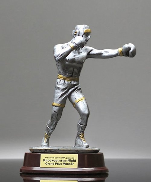 Picture of Silverstone Series Ringside Boxing Trophy