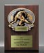 Picture of Xplosion Wrestling Plaque Award