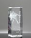 Picture of Collegiate Series Wrestling 3D Crystal Trophy