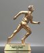 Picture of Golden Track Award - Male