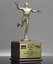 Picture of Running Champion Trophy - Male