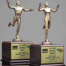 Picture for category Running MVP