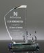 Picture of Crystal 15 Year Service Award - Spectral Milestone Series