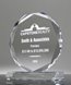 Picture of Jewel Octagon Acrylic Award