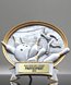 Picture of Male Bowling Silverstone Oval - Large