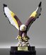 Picture of American Eagle Award