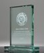 Picture of Optimist Jade Glass Rectangle Award