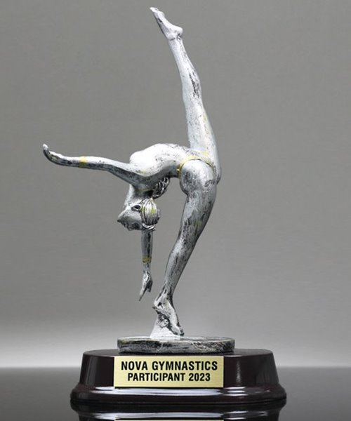 Picture of Silverstone Female Gymnast