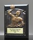 Picture of Greystone Water Polo Plaque