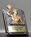 Picture of Legend Of Fame Water Polo