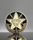 Picture of Commitment to Excellence Pin