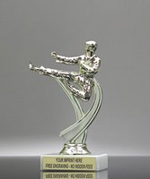 Picture of Flying Kick Trophy