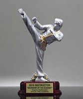 Picture of Martial Arts Classic Resin Award Male