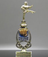 Picture of Martial Arts Meridian Trophy
